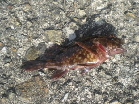 久しぶりの市役所裏