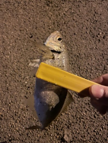 激シブアジング