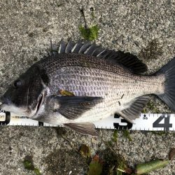 イチノ兄弟、釣果！