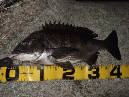 予想外に渋かった