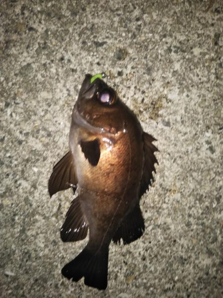 難攻ライトゲーム