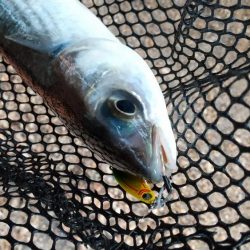 小型メタルジグ