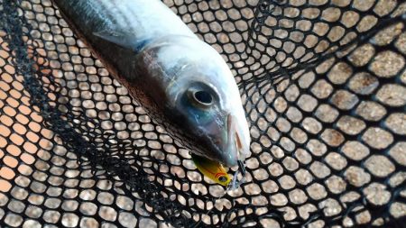 小型メタルジグ