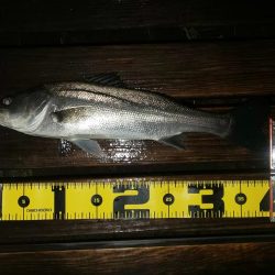 雨の中  ~さざなみ公園~