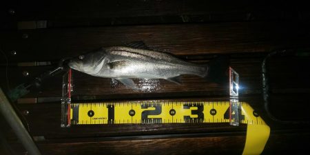 雨の中  ~さざなみ公園~