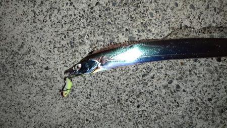 群れも小さくなった