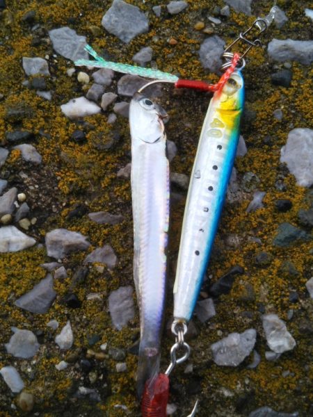 スレ掛かりのみ