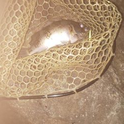 今シーズン初のメバリング