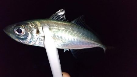 ライトゲームで3目