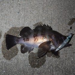 まったりメバリング