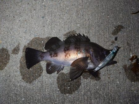 まったりメバリング