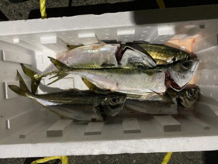 渋くなりましたねえ〜