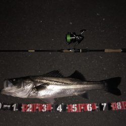 嬉しい一本でした。