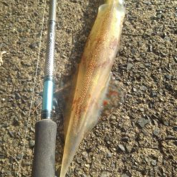 もう～終わりかな～