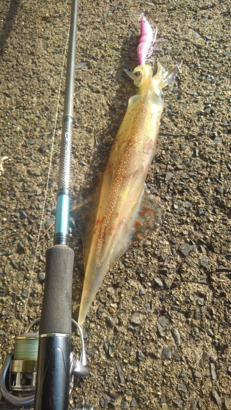 もう～終わりかな～