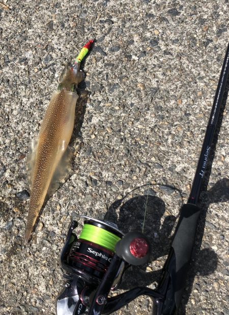 スッテでちゅー