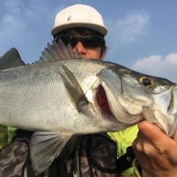 A.P.Pフィッシングガイドサービス ヒラスズキを探す!