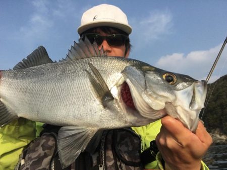 A.P.Pフィッシングガイドサービス ヒラスズキを探す!