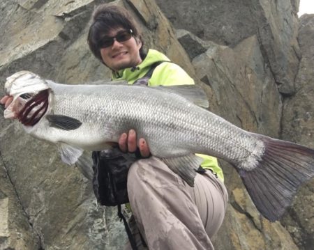 A.P.Pフィッシングガイドサービス　磯をチェックすると、ヒラスズキランカーサイズのRIDEON！