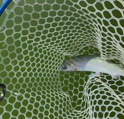 岸和田フィッシングパーク　