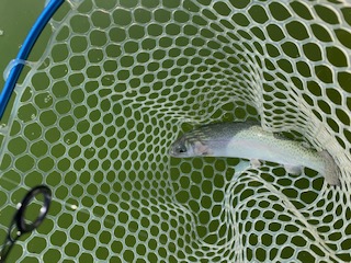 岸和田フィッシングパーク　