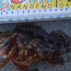 釣りデビュー　91日目