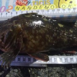 釣りデビュー　92日目