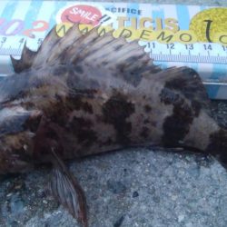 釣りデビュー 103日目