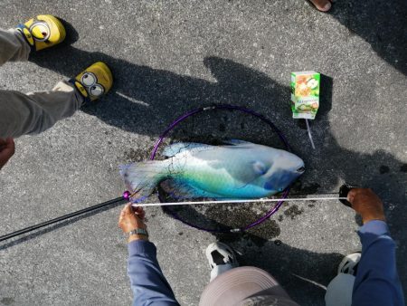 まさかの内側堤防で…