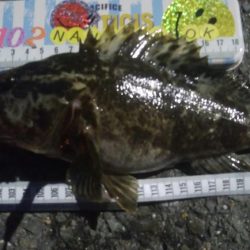 釣りデビュー　107日目