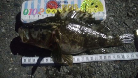 釣りデビュー　107日目