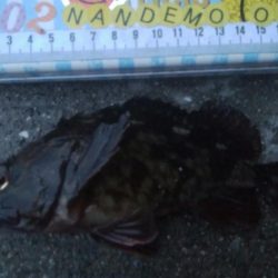 釣りデビュー 110日目