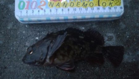 釣りデビュー 110日目