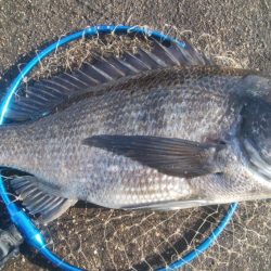 釣りデビュー　114日目