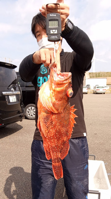 康仁丸・鯛ラバ釣り果