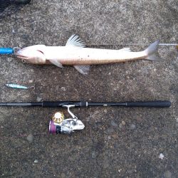 小エソ後巨エソとライトゲーム