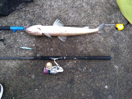 小エソ後巨エソとライトゲーム