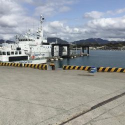 尺アジ含むアジ3匹、尺コノシロ、ビラ