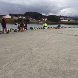 ヘダイ、コノシロ、ヒイラギ