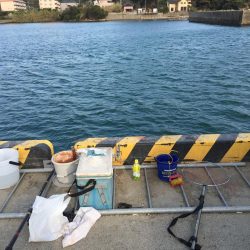 アジ20匹、太刀魚1匹