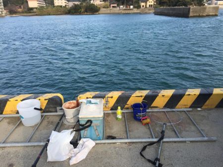 アジ20匹、太刀魚1匹