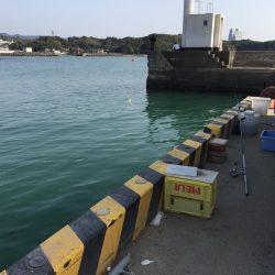 タチウオ（65㎝）1匹、コノシロ（最大30㎝）8匹