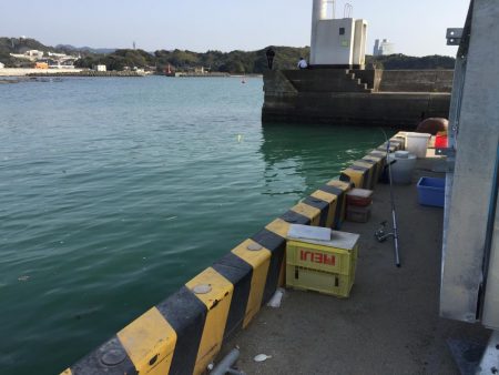 タチウオ（65㎝）1匹、コノシロ（最大30㎝）8匹