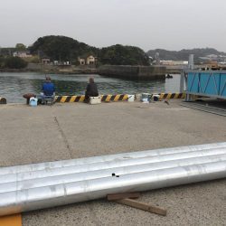 アジ24匹、太刀魚1匹、コノシロ6匹