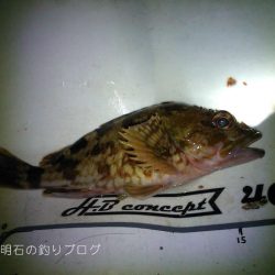 カサゴ釣り