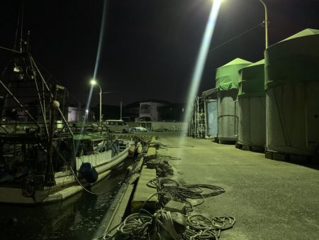 メバルプラッキング15