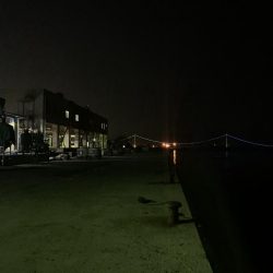 メバルプラッキング13