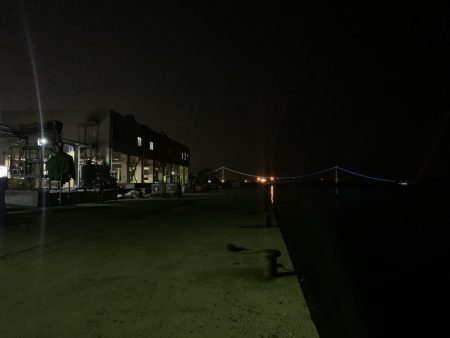 メバルプラッキング13