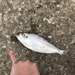 もう終わりかな