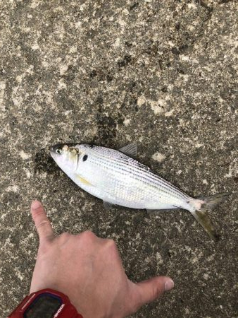 もう終わりかな